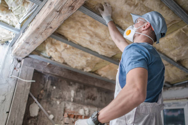 Best Insulation Replacement Services  in Mino, CA